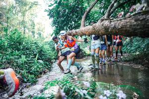 BIB: 
                            <button type="button" onclick="openModal(25445850)" class="btn btn-primary btn-sm float-right btn-popup" data-toggle="modal" data-target=".modal-high-quality">
                        <i class="fas fa-shopping-cart"></i> Add to Cart
                    </button>
                                            <button type="button" onclick="isThisMe(25445850, true)" class="btn btn-success btn-sm float-right btn-popup btn-isme hidden" data-toggle="tooltip" data-placement="bottom" title="นี่คือรูปของคุณใช่ไหม คลิกที่นี่เพื่อเอาเข้าอัลบั้ม">
                        <i class="fas fa-plus"></i> Add to album
                    </button>
                    <button type="button" onclick="isThisMe(25445850, false)" class="btn btn-warning btn-sm float-right btn-popup btn-isnotme hidden">
                        <i class="fas fa-ban"></i> Remove from album
                    </button>